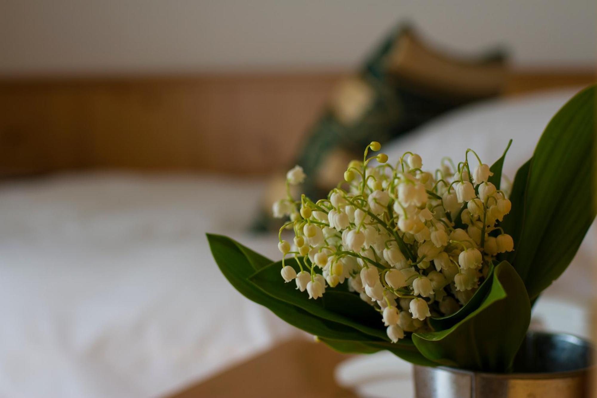 Hotel Chalet All'Imperatore Madonna di Campiglio Room photo